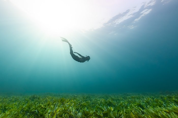 A diver in blue ocean, coral reef in the foreground and mountains in the background